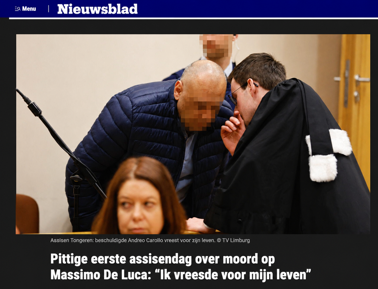Het Nieuwsblad-artikel over de eerste assisendag in de zaak rond de moord op Massimo De Luca